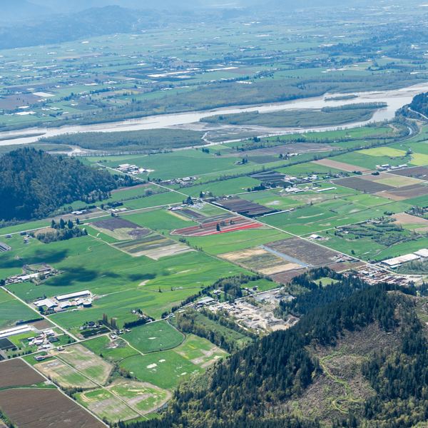 Fraser Valley patchwork farms